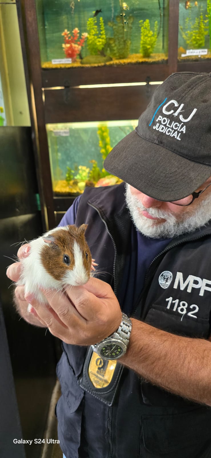 MALTRATO ANIMAL: RESCATAN MÁS DE 60 ANIMALES DE UN PET SHOP