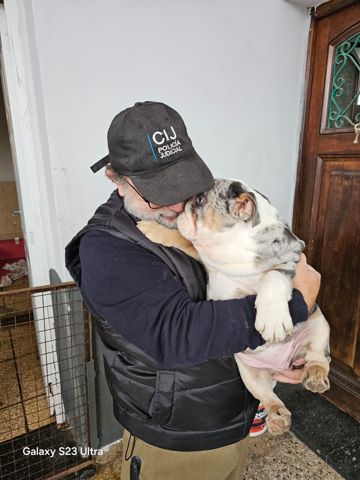 CLAUSURAN UN CRIADERO ILEGAL EN VILLA URQUIZA Y RESCATAN 13 PERROS Y UN LORO SILVESTRE