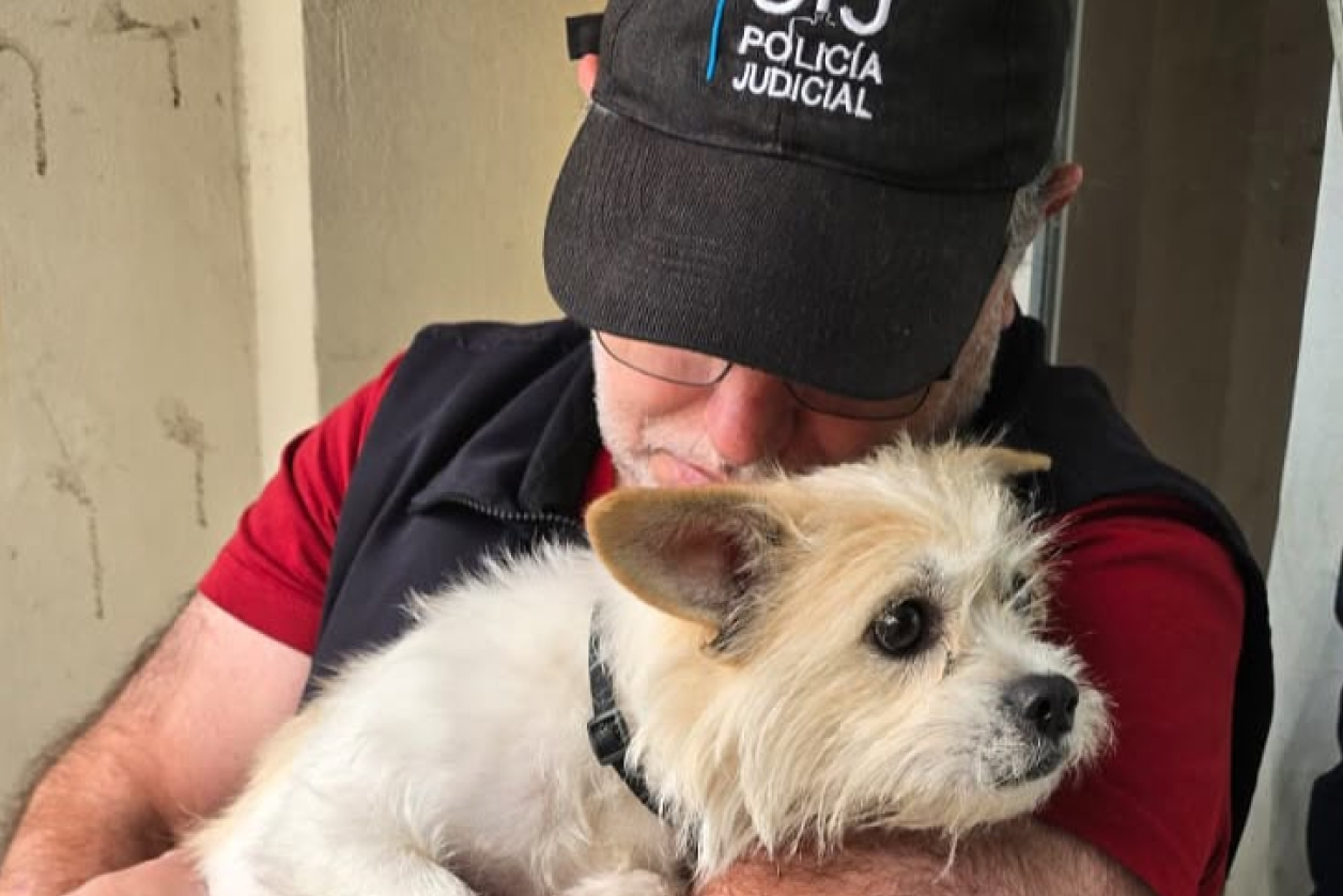 Maltrato animal: rescataron a una perra en Villa Santa Rita