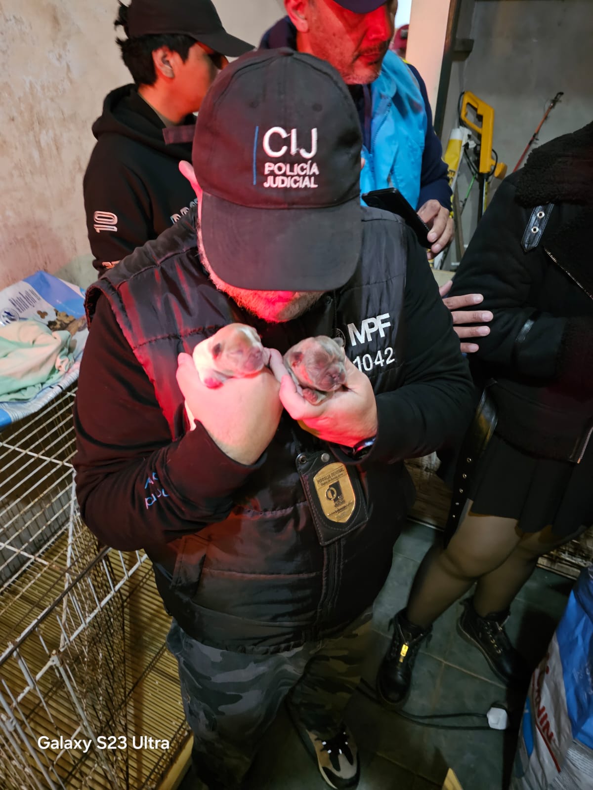 CLAUSURAN UN CRIADERO ILEGAL EN VILLA RIACHUELO Y RESCATAN 18 PERROS