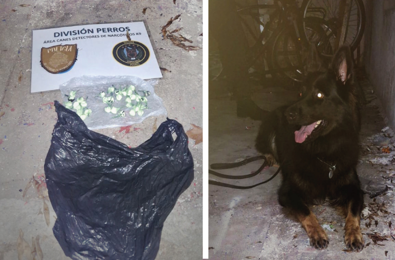 Clausuran el hotel de constitución donde se había secuestrado más de un kilo de cocaína