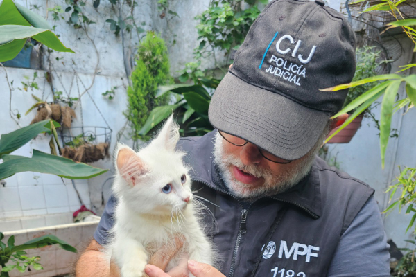 MALTRATO ANIMAL: CONDENARON CON PENA DE PRISIÓN A UNA MUJER