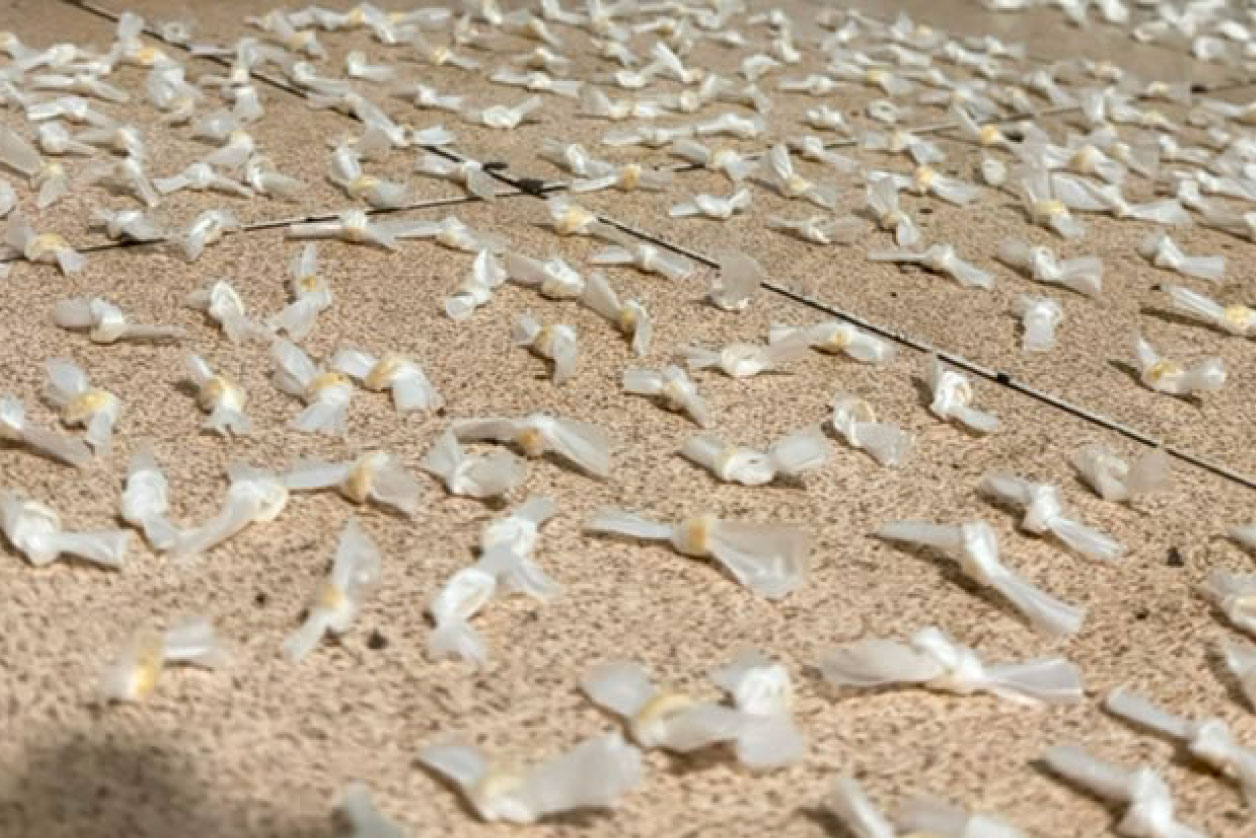 Prisión preventiva para dos imputadas en un caso en el que se secuestraron más de 3.700 dosis de cocaína y pasta base