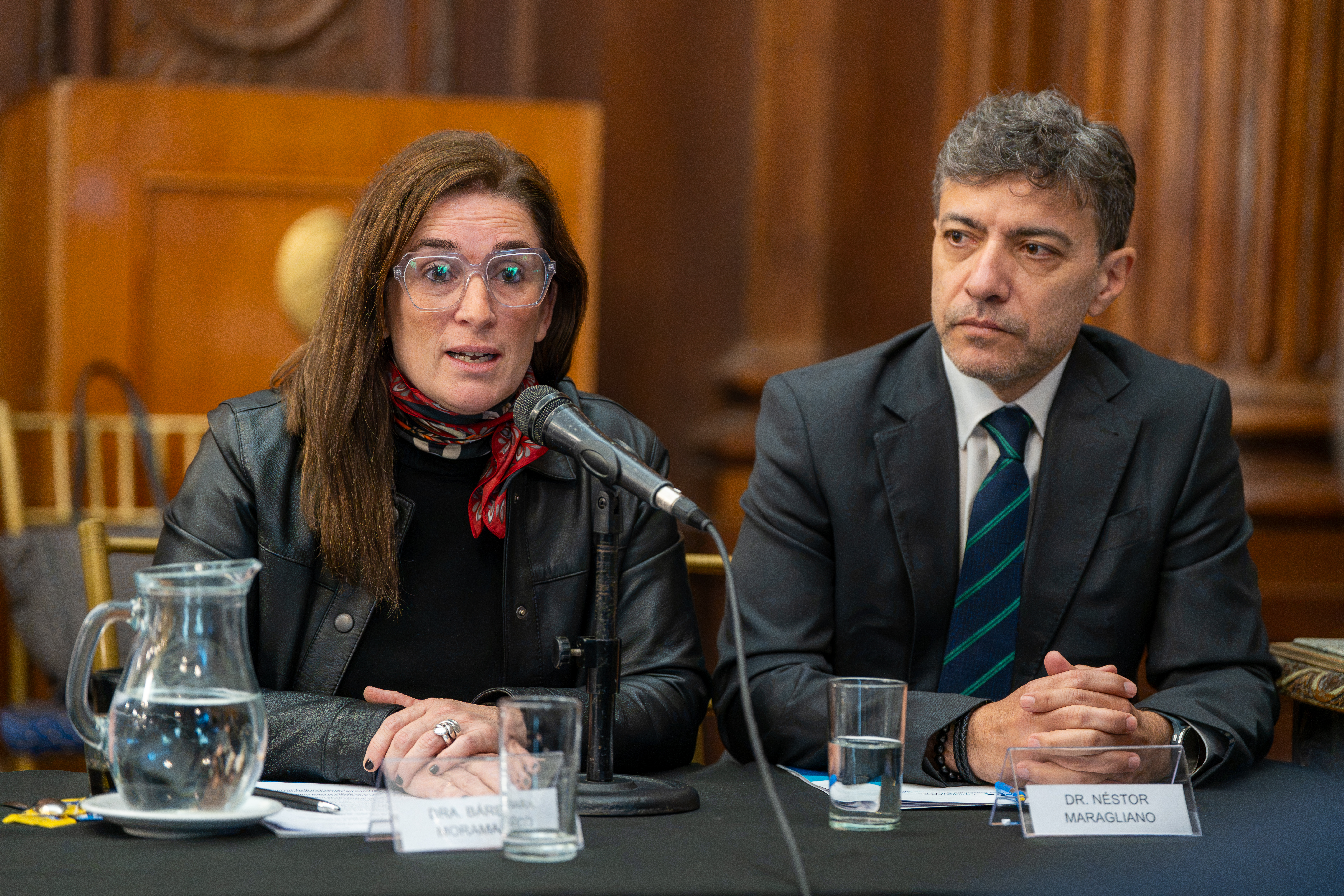 El MPF expuso en la Legislatura porteña sobre los cambios que requiere el Régimen Penal Juvenil
