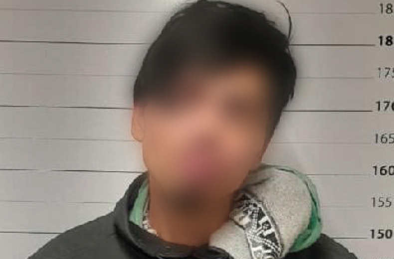 Violencia de Género: prisión preventiva por lesionar y hostigar a su ex pareja frente a sus 4 hijos