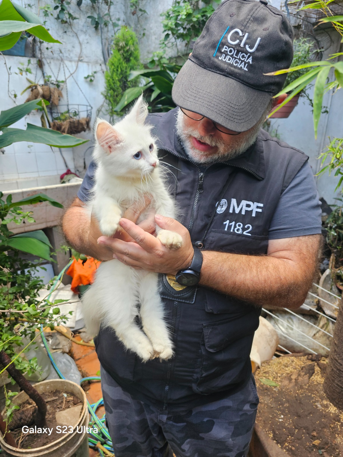 MALTRATO ANIMAL: CONDENARON CON PENA DE PRISIÓN A UNA MUJER