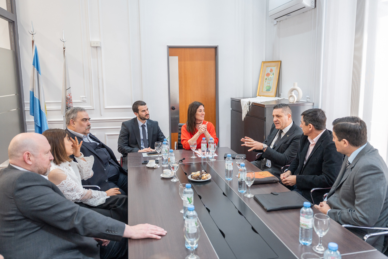 CIJ Fuerzas de seguridad 01