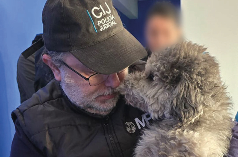 Se secuestraron armas y drogas durante un allanamiento por maltrato animal: un detenido
