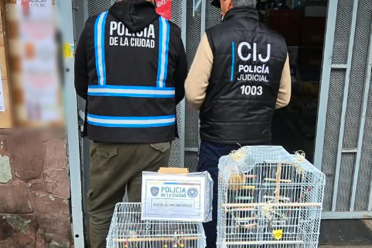 Maltrato animal: una imputada tras el rescate de aves en cautiverio